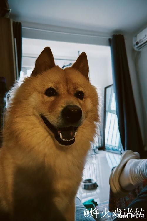 曼晚：第3次报价没动静，姆贝乌莫和阿莫林都对进展缓慢失望